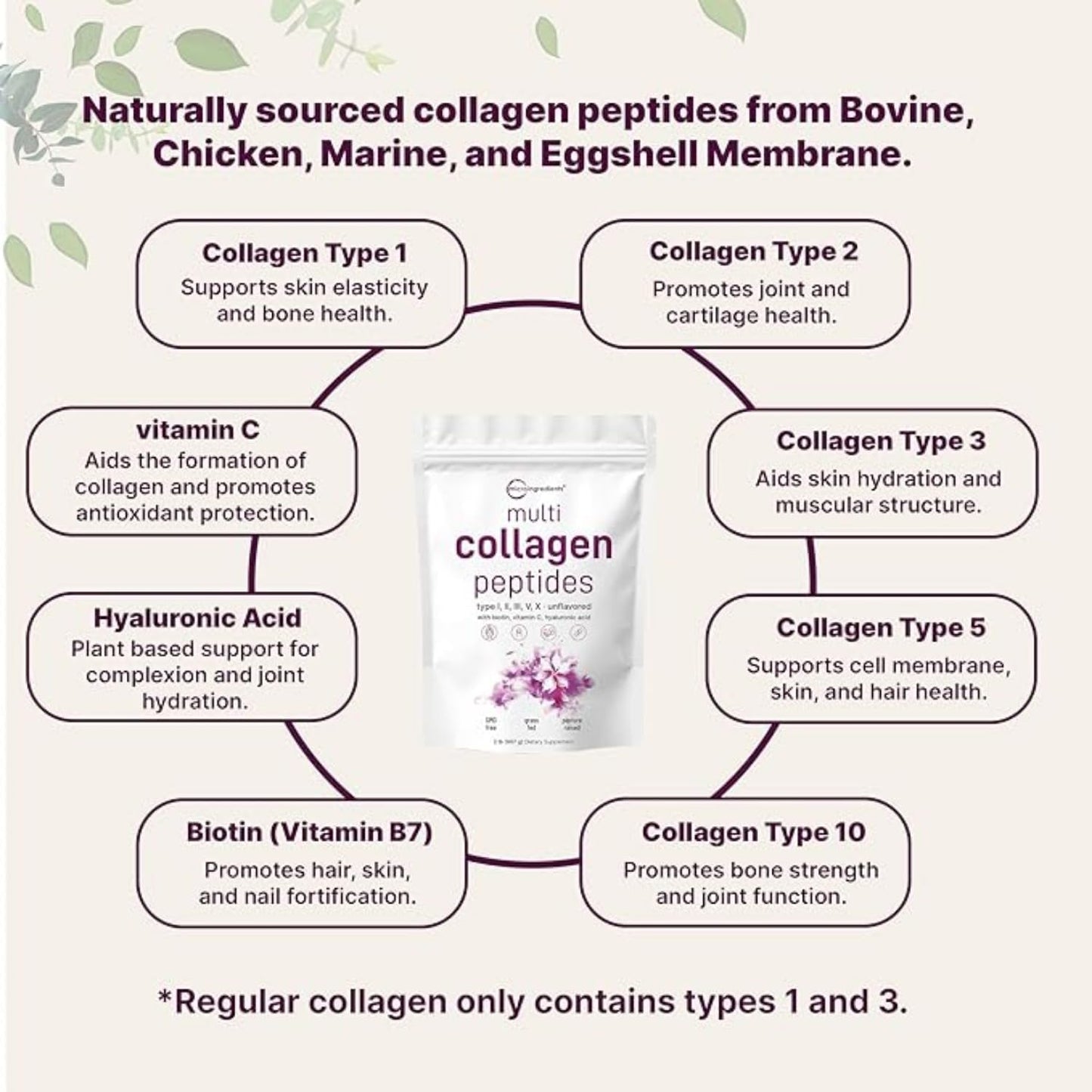 TheEssence™ Multi Collagen Peptides Powder